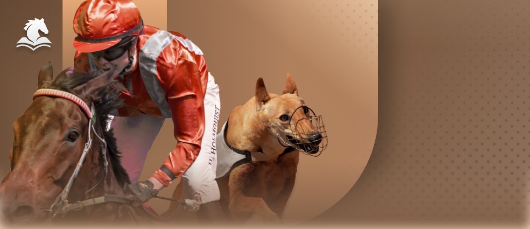 sport-awcmhorsebook